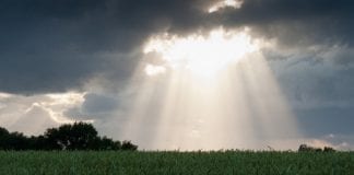 Nous Vous Demandons Pardon